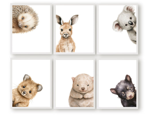 Set of 6 Peeking Australian Animal Nursery Prints featuring a cute and cuddly peeking Aussie animals - Baby Kangaroo, Koala, Wombat, Quokka, Tasmanian Devil and Echidna. Perfect for your Australian nursery decor.