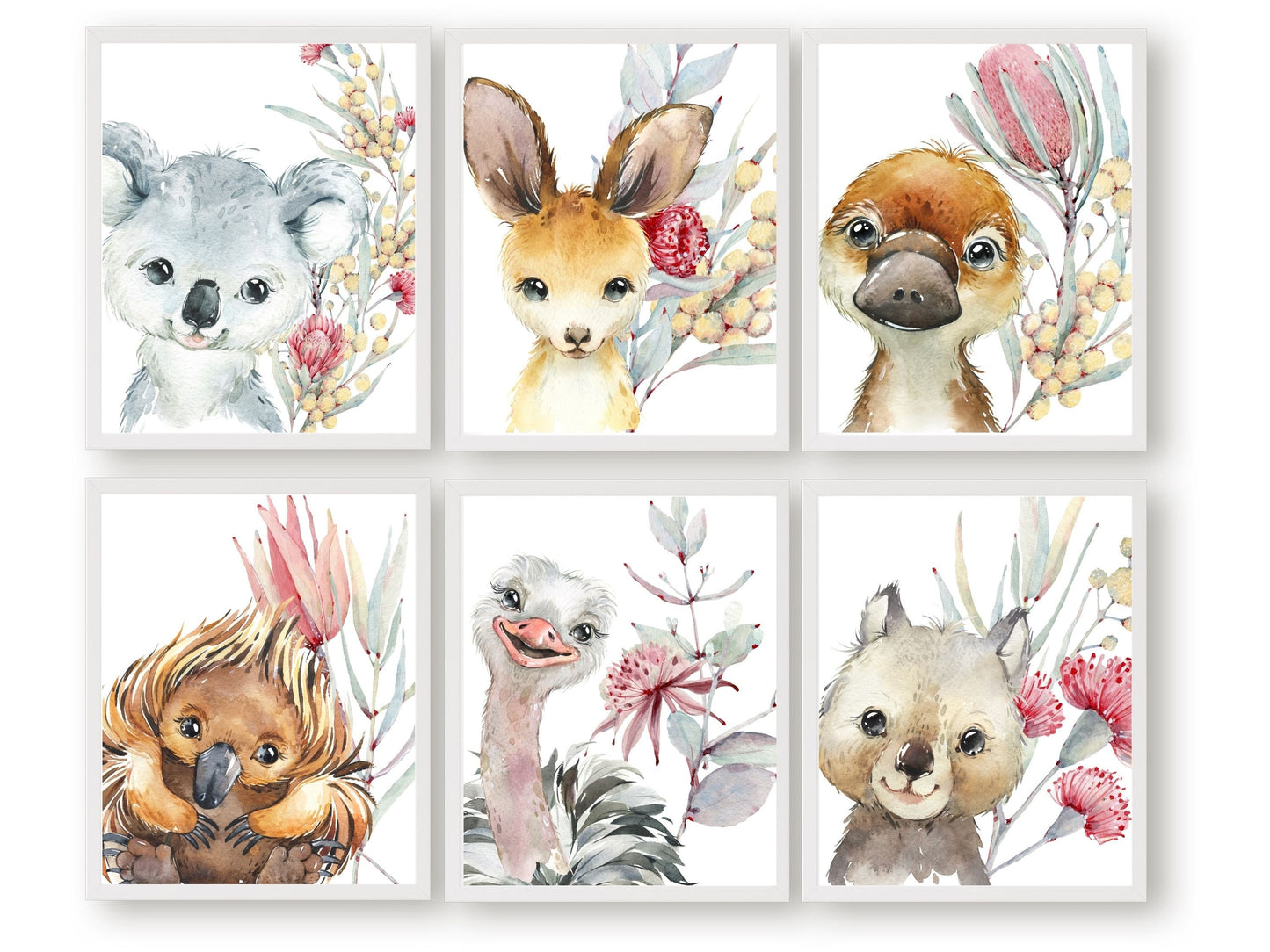 Bring a little bit of the Australian wilderness into your home with this Set of 6 Australian Animal Nursery Prints featuring a cute and cuddly Aussie animal - Baby Kangaroo, Koala, Wombat, Platypus, Emu and Echidna surrounded by beautiful Australian native flowers.