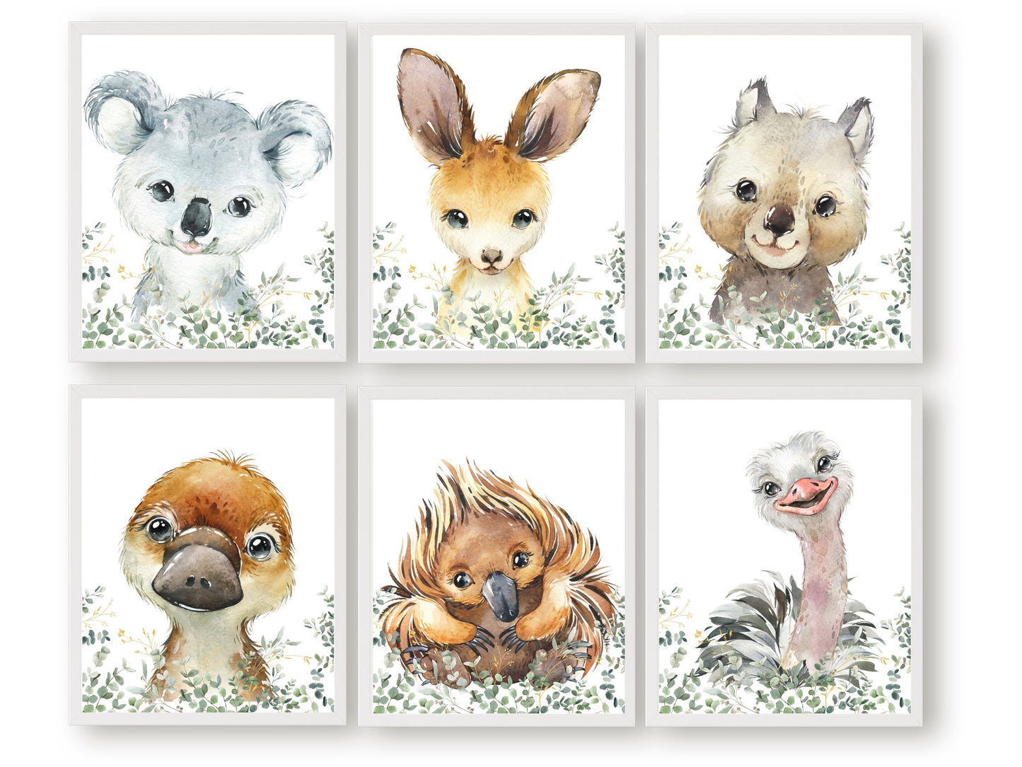 Bring a little bit of the Australian wilderness into your home with our Set of 6 Australian Animals and Eucalyptus Nursery Prints featuring a cute and cuddly watercolour Aussie animal - Baby Kangaroo, Koala, Wombat, Platypus, Emu and Echidna surrounded by beautiful Australian eucalyptus branches.