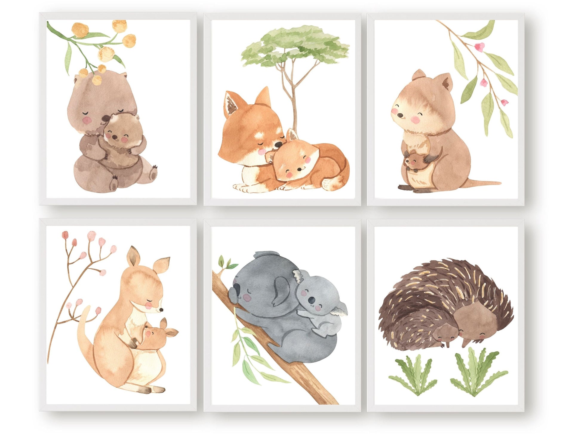 This set of 6 Australian animal unisex nursery prints featuring a cute and cuddly Aussie animal mother and baby - Kangaroo, Koala, Wombat, Quokka, Fox and Echidna surrounded by beautiful watercolour Australian native flowers.